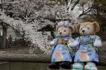 Dcim8866/DSC_7614