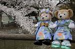 Dcim8866/DSC_7616