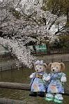 Dcim8866/DSC_7617