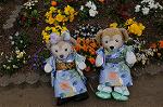 Dcim8866/DSC_7621