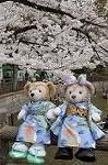 Dcim8866/DSC_7626