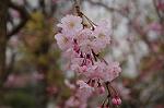 Dcim8866/DSC_7658