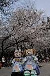 Dcim8866/DSC_7703