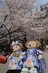 Dcim8866/DSC_7717