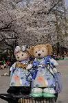 Dcim8867/DSC_7719