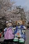 Dcim8867/DSC_7730
