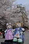 Dcim8867/DSC_7736