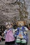 Dcim8867/DSC_7740