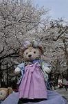 Dcim8867/DSC_7752