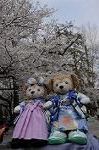 Dcim8867/DSC_7757