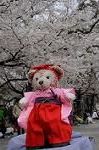 Dcim8867/DSC_7765