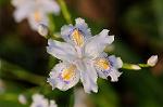 Dcim8867/DSC_7812