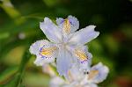 Dcim8867/DSC_7818