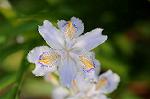 Dcim8867/DSC_7819