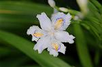 Dcim8867/DSC_7821