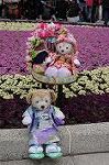 Dcim8871/DSC_8294