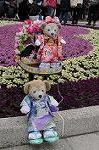 Dcim8871/DSC_8298
