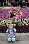 Dcim8871/DSC_8299