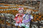 Dcim8872/DSC_8453