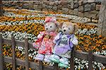 Dcim8872/DSC_8454
