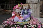 Dcim8872/DSC_8483
