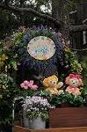 Dcim8872/DSC_8532