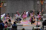 Dcim8873/DSC_8626
