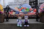 Dcim8875/DSC_8901