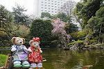 Dcim8883/DSC_9779