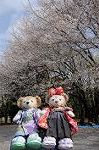 Dcim8883/DSC_9817