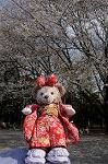 Dcim8883/DSC_9829