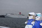 Dcim8893/DSC_1222