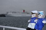 Dcim8893/DSC_1223
