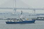 Dcim8894/DSC_2342