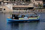Dcim8895/DSC_1239