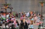 Dcim8895/DSC_1335