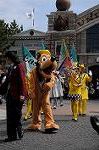 Dcim8896/DSC_1396