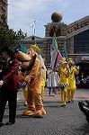 Dcim8896/DSC_1397