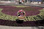 Dcim8897/DSC_1534