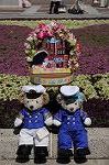 Dcim8897/DSC_1536