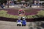 Dcim8897/DSC_1538