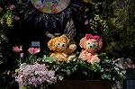 Dcim8897/DSC_1629