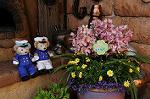 Dcim8898/DSC_1667