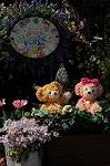 Dcim8898/DSC_1723