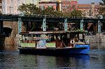 Dcim8898/DSC_1742