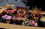 Dcim8899/DSC_1855