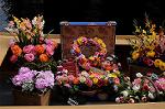 Dcim8899/DSC_1858