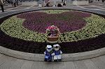 Dcim8899/DSC_1928