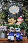 Dcim8901/DSC_2203