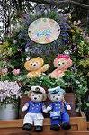 Dcim8901/DSC_2204